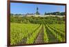 Germany, Hessen, Middle Rhine Valley, R?desheim, Vineyard, Niederwalddenkmal, Morning Light-Chris Seba-Framed Photographic Print