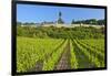 Germany, Hessen, Middle Rhine Valley, R?desheim, Vineyard, Niederwalddenkmal, Morning Light-Chris Seba-Framed Photographic Print