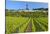 Germany, Hessen, Middle Rhine Valley, R?desheim, Vineyard, Niederwalddenkmal, Morning Light-Chris Seba-Stretched Canvas