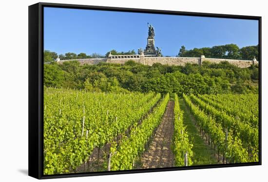 Germany, Hessen, Middle Rhine Valley, R?desheim, Vineyard, Niederwalddenkmal, Morning Light-Chris Seba-Framed Stretched Canvas