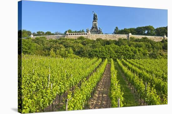 Germany, Hessen, Middle Rhine Valley, R?desheim, Vineyard, Niederwalddenkmal, Morning Light-Chris Seba-Stretched Canvas