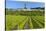 Germany, Hessen, Middle Rhine Valley, R?desheim, Vineyard, Niederwalddenkmal, Morning Light-Chris Seba-Stretched Canvas