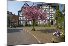 Germany, Hessen, Northern Hessen, Melsungen, Historical Old Town-Chris Seba-Mounted Photographic Print