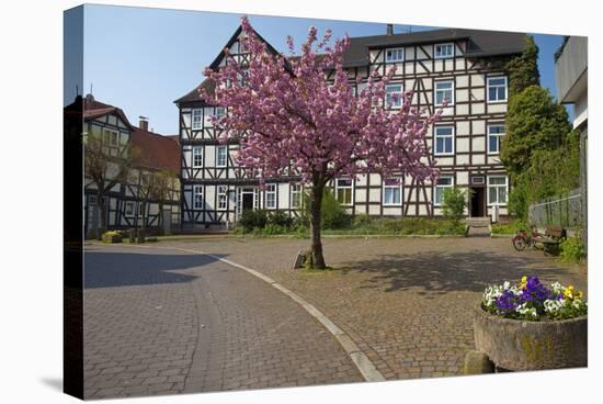Germany, Hessen, Northern Hessen, Melsungen, Historical Old Town-Chris Seba-Stretched Canvas