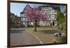 Germany, Hessen, Northern Hessen, Melsungen, Historical Old Town-Chris Seba-Framed Photographic Print