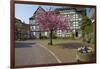 Germany, Hessen, Northern Hessen, Melsungen, Historical Old Town-Chris Seba-Framed Photographic Print