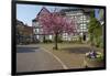 Germany, Hessen, Northern Hessen, Melsungen, Historical Old Town-Chris Seba-Framed Photographic Print