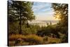 Germany, Hessen, Northern Hessen, National Park Kellerwald-Edersee, Morning Fog-Chris Seba-Stretched Canvas