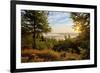 Germany, Hessen, Northern Hessen, National Park Kellerwald-Edersee, Morning Fog-Chris Seba-Framed Photographic Print