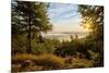 Germany, Hessen, Northern Hessen, National Park Kellerwald-Edersee, Morning Fog-Chris Seba-Mounted Photographic Print