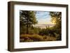 Germany, Hessen, Northern Hessen, National Park Kellerwald-Edersee, Morning Fog-Chris Seba-Framed Photographic Print