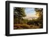 Germany, Hessen, Northern Hessen, National Park Kellerwald-Edersee, Morning Fog-Chris Seba-Framed Photographic Print