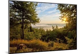 Germany, Hessen, Northern Hessen, National Park Kellerwald-Edersee, Morning Fog-Chris Seba-Mounted Photographic Print