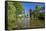 Germany, Hessen, Northern Hessen, Reinhardshausen, Health Resort Park, Pond-Chris Seba-Framed Stretched Canvas