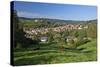 Germany, Hessen, Northern Hessen, Spangenberg, Townscape, Meadow, Cattle, Bison Herd, Grazing-Chris Seba-Stretched Canvas