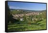 Germany, Hessen, Northern Hessen, Spangenberg, Townscape, Meadow, Cattle, Bison Herd, Grazing-Chris Seba-Framed Stretched Canvas