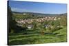 Germany, Hessen, Northern Hessen, Spangenberg, Townscape, Meadow, Cattle, Bison Herd, Grazing-Chris Seba-Stretched Canvas