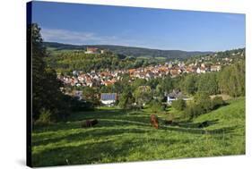 Germany, Hessen, Northern Hessen, Spangenberg, Townscape, Meadow, Cattle, Bison Herd, Grazing-Chris Seba-Stretched Canvas