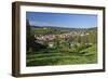 Germany, Hessen, Northern Hessen, Spangenberg, Townscape, Meadow, Cattle, Bison Herd, Grazing-Chris Seba-Framed Photographic Print