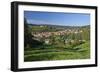 Germany, Hessen, Northern Hessen, Spangenberg, Townscape, Meadow, Cattle, Bison Herd, Grazing-Chris Seba-Framed Photographic Print