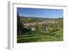 Germany, Hessen, Northern Hessen, Spangenberg, Townscape, Meadow, Cattle, Bison Herd, Grazing-Chris Seba-Framed Photographic Print