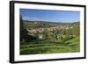 Germany, Hessen, Northern Hessen, Spangenberg, Townscape, Meadow, Cattle, Bison Herd, Grazing-Chris Seba-Framed Photographic Print