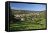 Germany, Hessen, Northern Hessen, Spangenberg, Townscape, Meadow, Cattle, Bison Herd, Grazing-Chris Seba-Framed Stretched Canvas