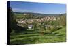 Germany, Hessen, Northern Hessen, Spangenberg, Townscape, Meadow, Cattle, Bison Herd, Grazing-Chris Seba-Stretched Canvas