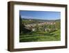 Germany, Hessen, Northern Hessen, Spangenberg, Townscape, Meadow, Cattle, Bison Herd, Grazing-Chris Seba-Framed Photographic Print