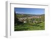 Germany, Hessen, Northern Hessen, Spangenberg, Townscape, Meadow, Cattle, Bison Herd, Grazing-Chris Seba-Framed Photographic Print