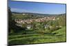 Germany, Hessen, Northern Hessen, Spangenberg, Townscape, Meadow, Cattle, Bison Herd, Grazing-Chris Seba-Mounted Photographic Print