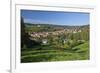 Germany, Hessen, Northern Hessen, Spangenberg, Townscape, Meadow, Cattle, Bison Herd, Grazing-Chris Seba-Framed Photographic Print