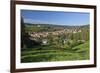 Germany, Hessen, Northern Hessen, Spangenberg, Townscape, Meadow, Cattle, Bison Herd, Grazing-Chris Seba-Framed Photographic Print