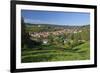 Germany, Hessen, Northern Hessen, Spangenberg, Townscape, Meadow, Cattle, Bison Herd, Grazing-Chris Seba-Framed Photographic Print