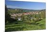 Germany, Hessen, Northern Hessen, Spangenberg, Townscape, Meadow, Cattle, Bison Herd, Grazing-Chris Seba-Mounted Photographic Print