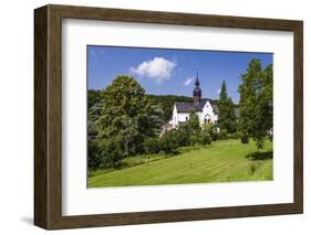 Germany, Hessen, Rheingau, Eltville at River Rhine, Abbey Eberbach, Abbey Gardens with Basilica-Udo Siebig-Framed Photographic Print