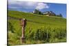 Germany, Hessen, Rheingau, Geisenheim, District Johannisberg-Udo Siebig-Stretched Canvas