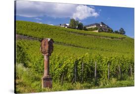 Germany, Hessen, Rheingau, Geisenheim, District Johannisberg-Udo Siebig-Stretched Canvas