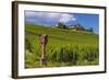 Germany, Hessen, Rheingau, Geisenheim, District Johannisberg-Udo Siebig-Framed Photographic Print