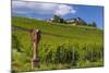 Germany, Hessen, Rheingau, Geisenheim, District Johannisberg-Udo Siebig-Mounted Photographic Print