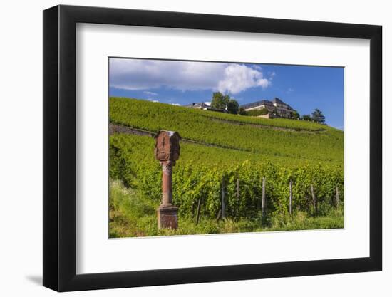 Germany, Hessen, Rheingau, Geisenheim, District Johannisberg-Udo Siebig-Framed Premium Photographic Print