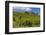 Germany, Hessen, Rheingau, Geisenheim, District Johannisberg-Udo Siebig-Framed Premium Photographic Print