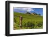 Germany, Hessen, Rheingau, Geisenheim, District Johannisberg-Udo Siebig-Framed Premium Photographic Print