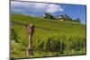 Germany, Hessen, Rheingau, Geisenheim, District Johannisberg-Udo Siebig-Mounted Premium Photographic Print