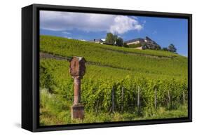 Germany, Hessen, Rheingau, Geisenheim, District Johannisberg-Udo Siebig-Framed Stretched Canvas