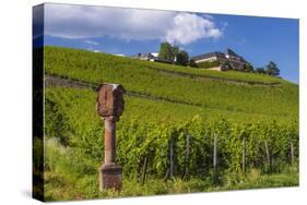 Germany, Hessen, Rheingau, Geisenheim, District Johannisberg-Udo Siebig-Stretched Canvas