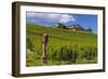 Germany, Hessen, Rheingau, Geisenheim, District Johannisberg-Udo Siebig-Framed Photographic Print