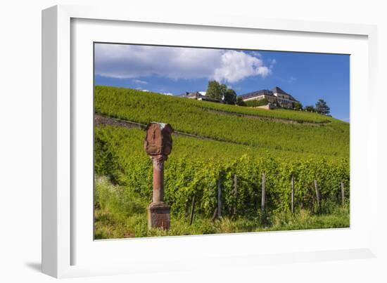 Germany, Hessen, Rheingau, Geisenheim, District Johannisberg-Udo Siebig-Framed Photographic Print