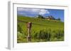 Germany, Hessen, Rheingau, Geisenheim, District Johannisberg-Udo Siebig-Framed Photographic Print