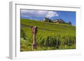 Germany, Hessen, Rheingau, Geisenheim, District Johannisberg-Udo Siebig-Framed Photographic Print